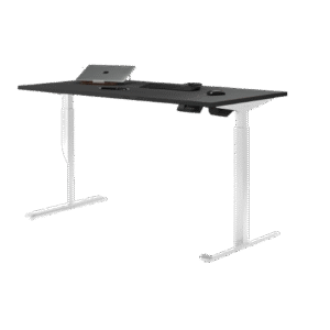 Ergo Basic Edition-B&W