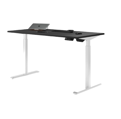 Evoke Basic Black & White