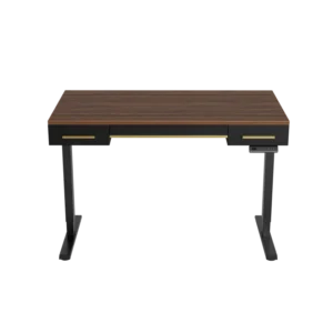 Evoke Camden Standing Desk